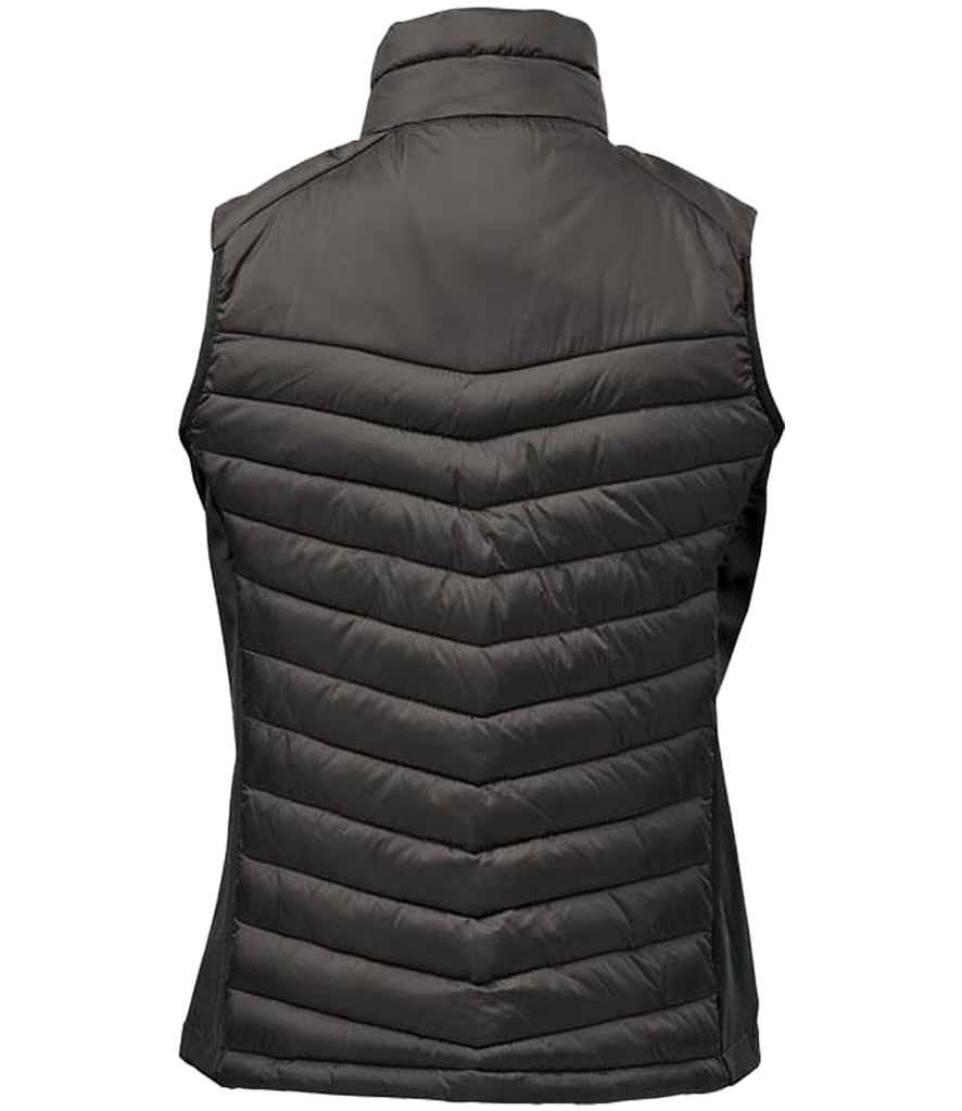 PDV1W BK%2fGR BACK