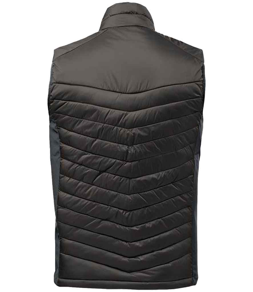 PDV1 BK%2fGR BACK