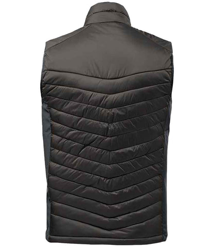 PDV1 BK%2fGR BACK