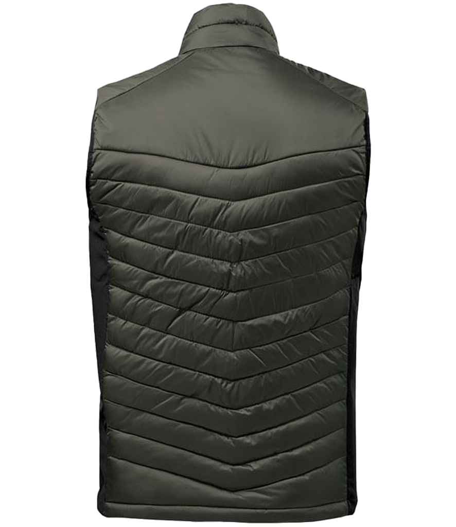 PDV1 SP%2fMA BACK