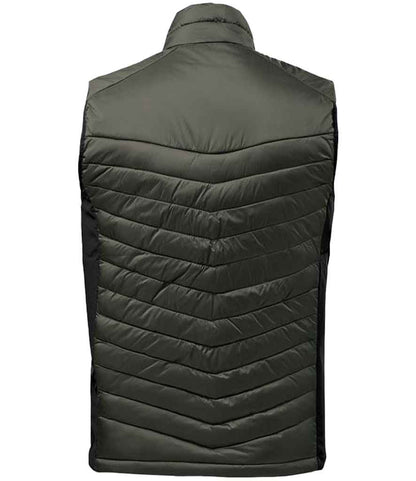 PDV1 SP%2fMA BACK
