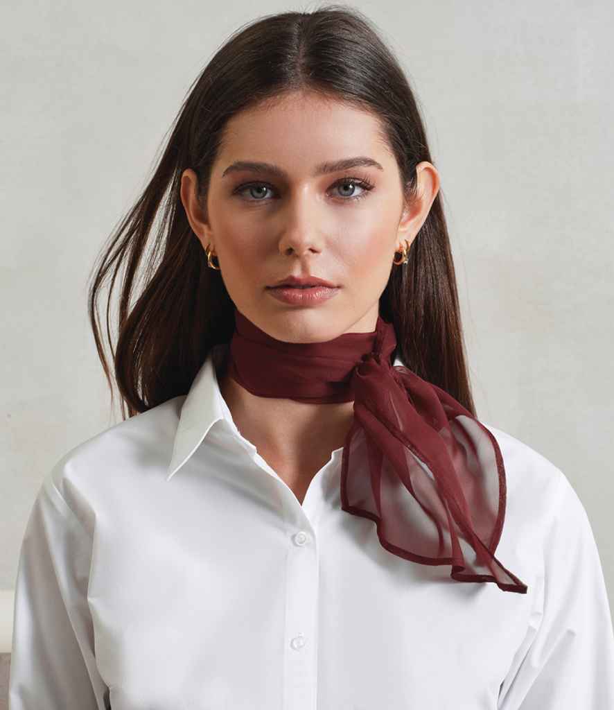 Premier 'Colours' Chiffon Scarf - model image