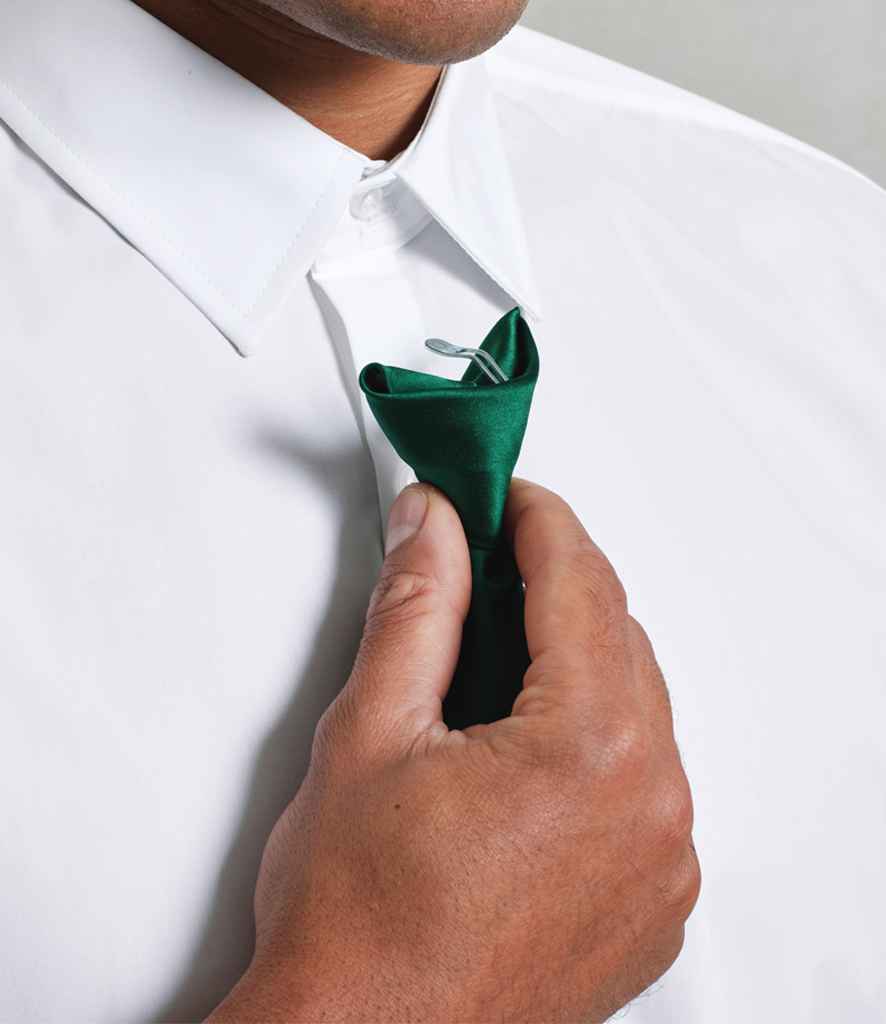 Premier 'Colours' Satin Clip Tie - model image