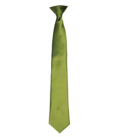 Premier 'Colours' Satin Clip Tie in Oasis Green