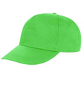 Lime Green