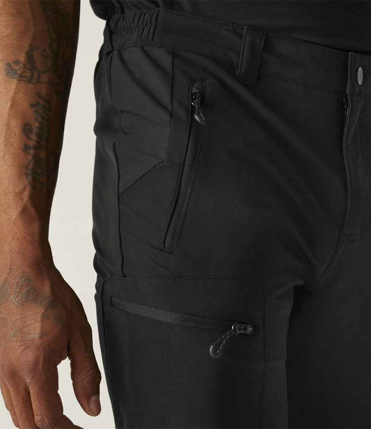 Regatta Prolite Stretch Shorts - model image