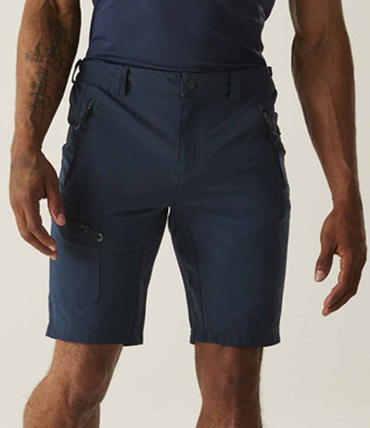 Regatta Prolite Stretch Shorts - model image