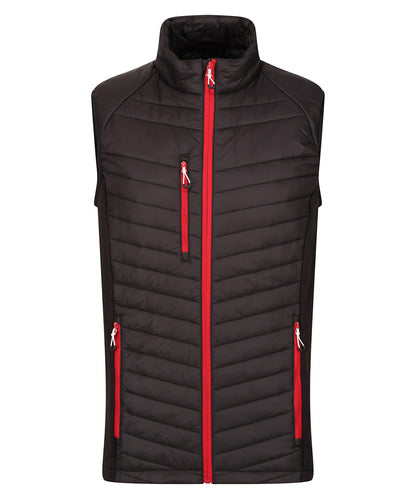 Regatta Professional Navigate hybrid bodywarmer Black/Classic Red