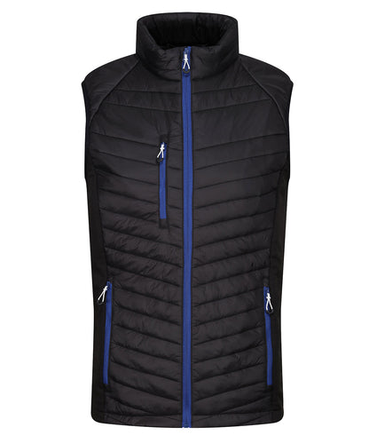 Regatta Professional Navigate hybrid bodywarmer Black/New Royal