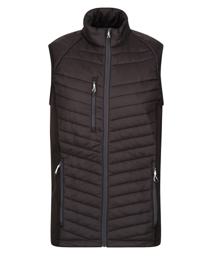 Regatta Professional Navigate hybrid bodywarmer Black/Seal