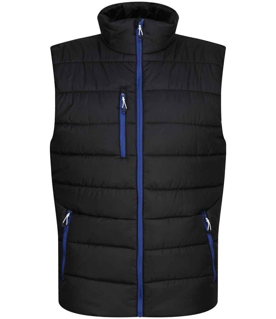 Regatta Navigate Thermal Bodywarmer in Black/New Royal Blue