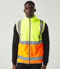 Yellow/Orange