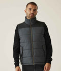 Seal Grey/Black