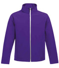 Vibrant Purple/Black