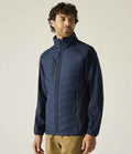 Navy/Ash