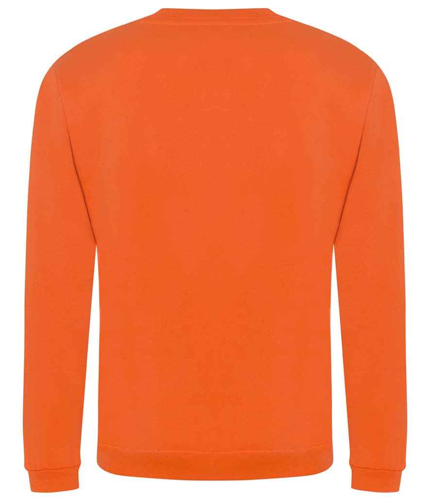 RX301 ORA BACK