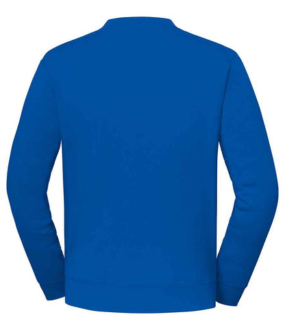 SS151 ROY BACK