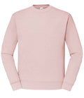 Powder Rose