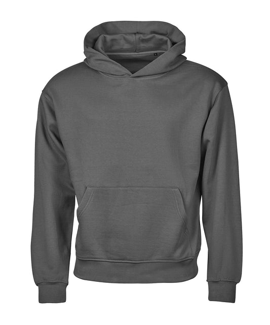 Tee Jays UNLABELED heavy loose-fit hooded sweatshirt (5162) Powder Grey